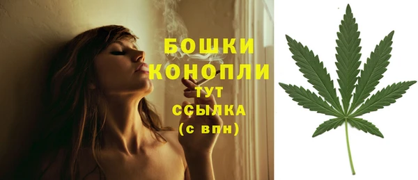 стафф Зеленокумск